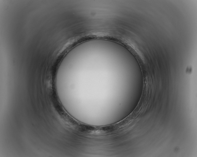 X0000091570212200708200958