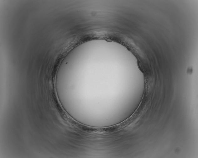 X0000091570213200708200958