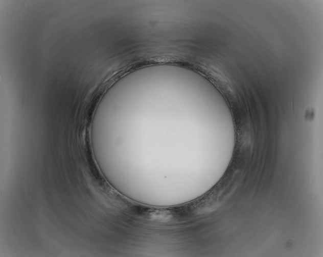 X0000091570214200708200958
