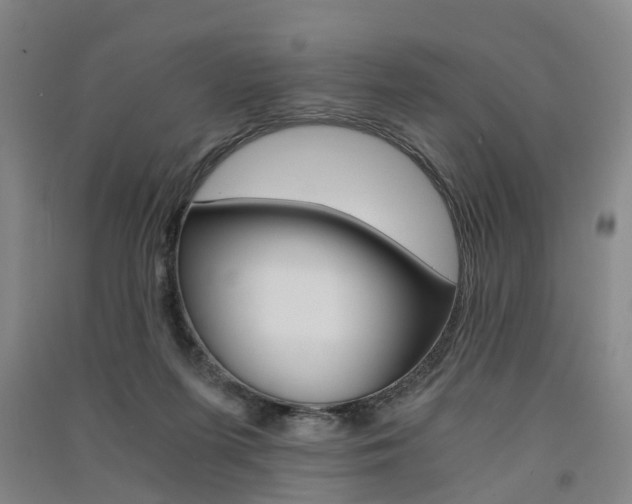 X0000091570215200708200958
