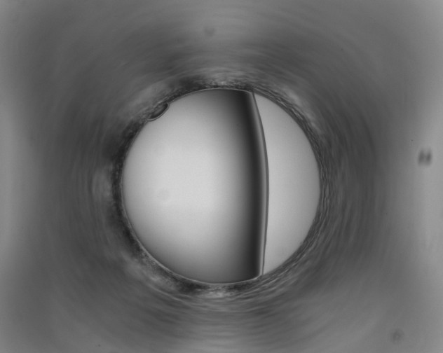 X0000091570217200708200958