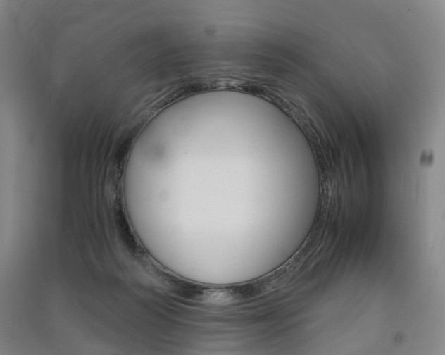 X0000091570218200708200958