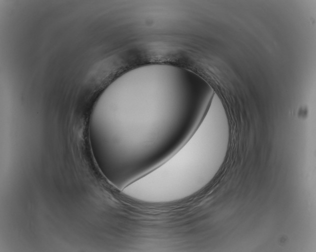 X0000091570219200708200958