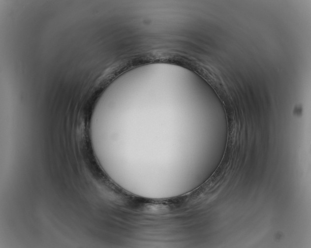 X0000091570220200708200958