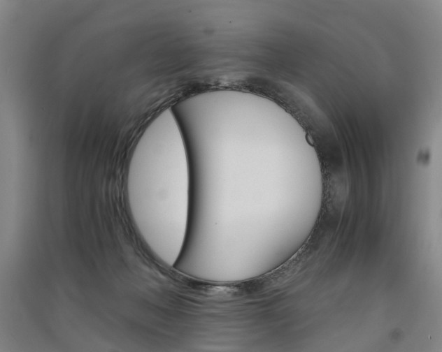 X0000091570222200708200958