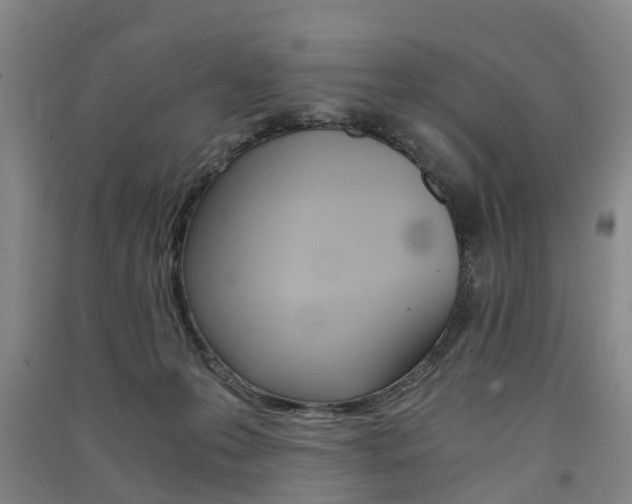 X0000091570223200708200958