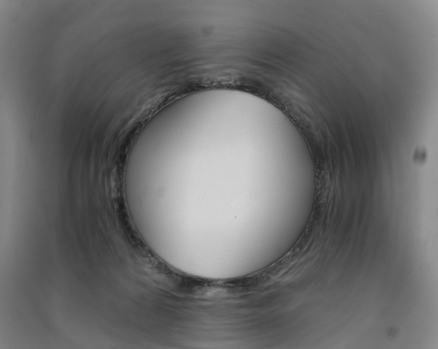 X0000091570224200708200958