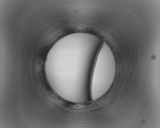 X0000091570225200708200958