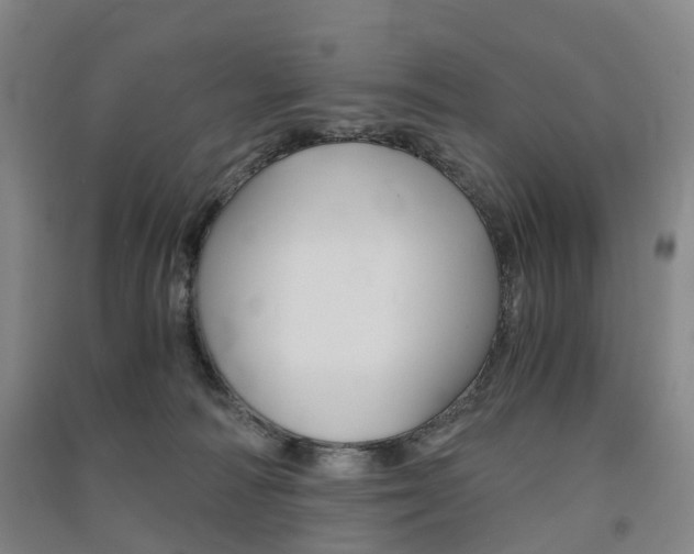X0000091570226200708200958