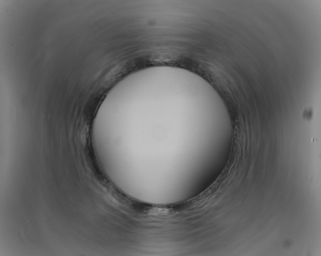 X0000091570227200708200958