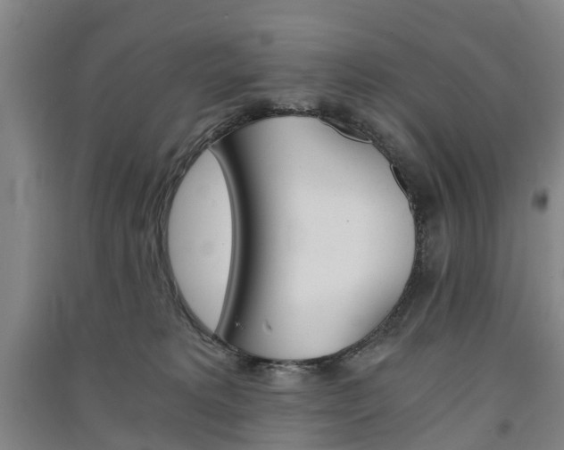 X0000091570229200708200958