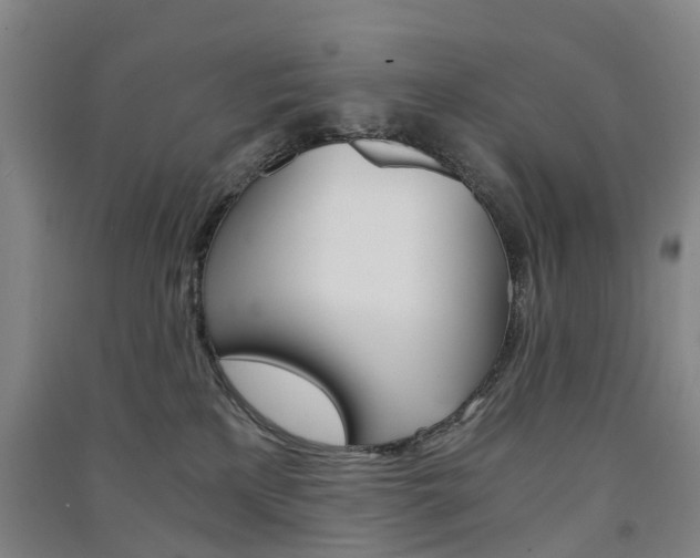 X0000091570233200708200958