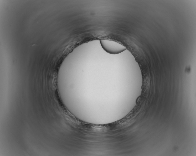 X0000091570234200708200958