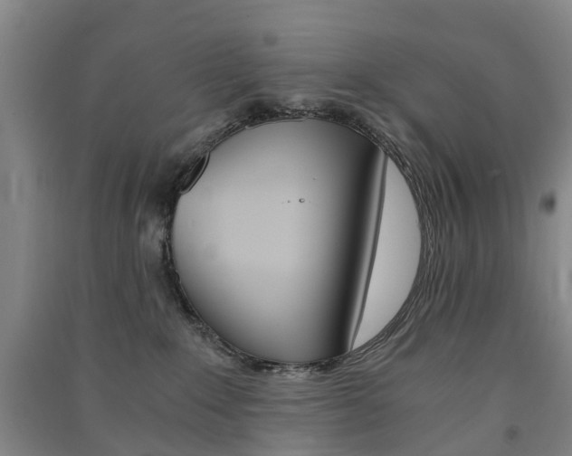 X0000091570235200708200958