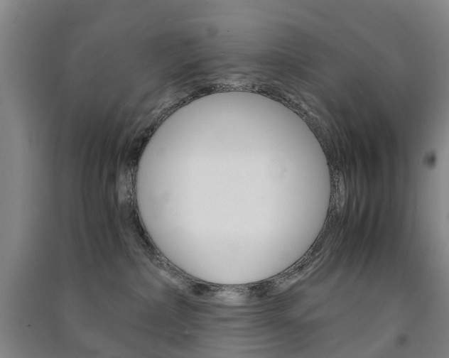 X0000091570236200708200958