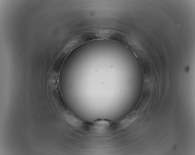 X0000091570237200708200958
