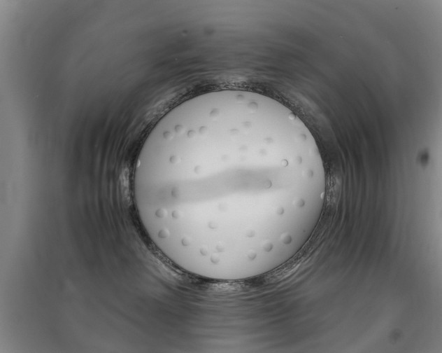 X0000091570238200708200958