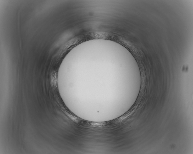 X0000091570240200708200958