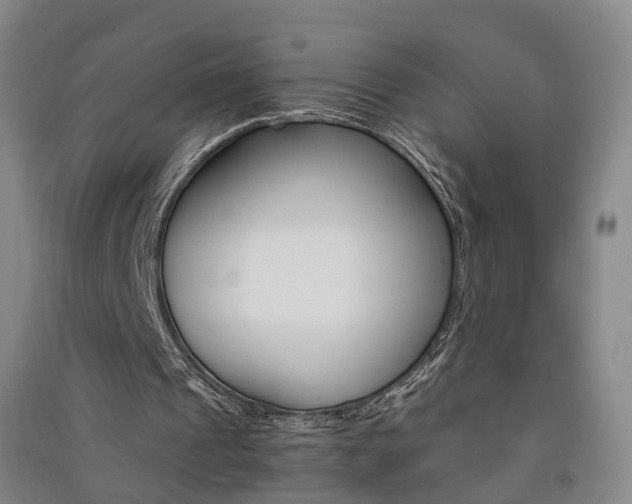 X0000091570241200708200957