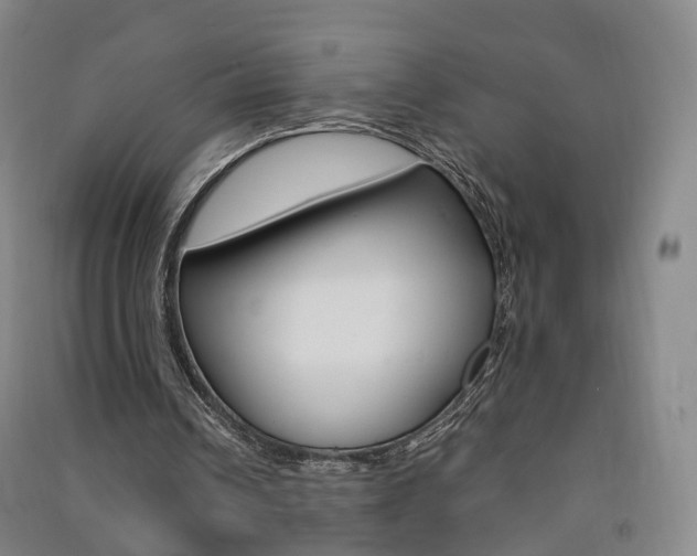 X0000091570242200708200957