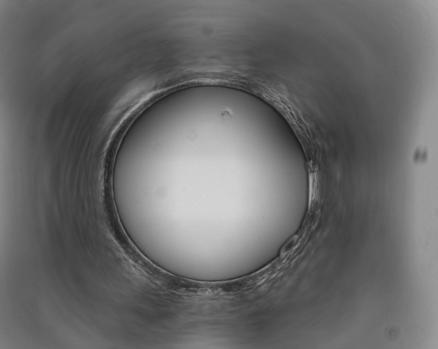 X0000091570243200708200957