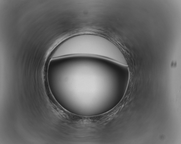 X0000091570244200708200957