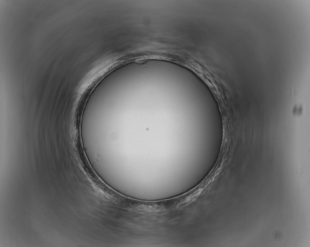 X0000091570245200708200957
