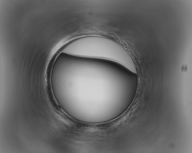 X0000091570246200708200957