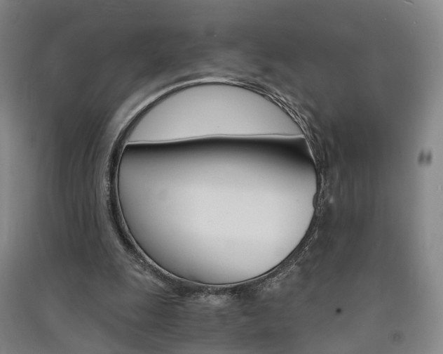 X0000091570247200708200957