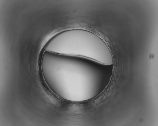 X0000091570248200708200957