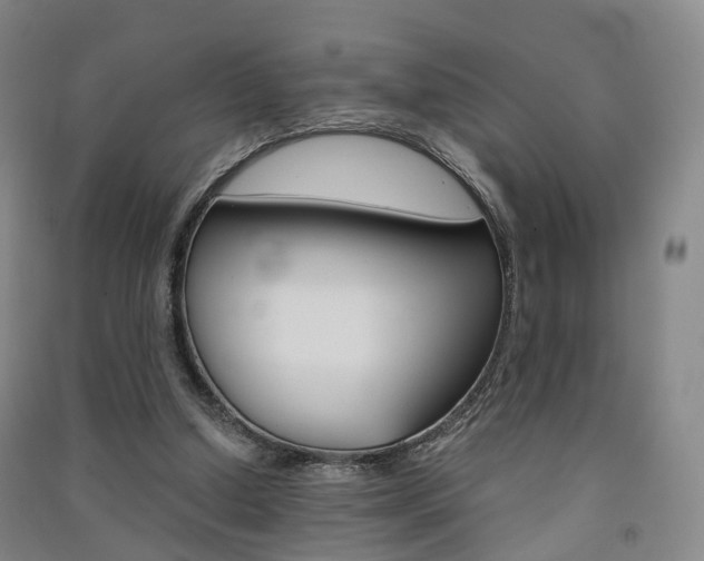 X0000091570250200708200957