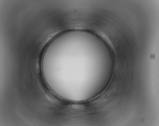 X0000091570251200708200957