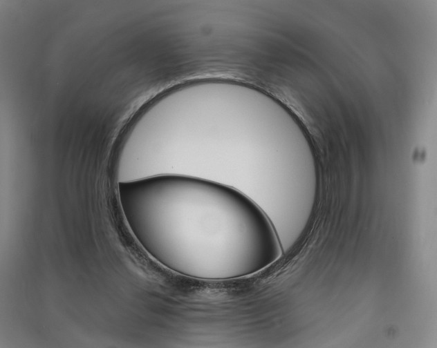 X0000091570252200708200957