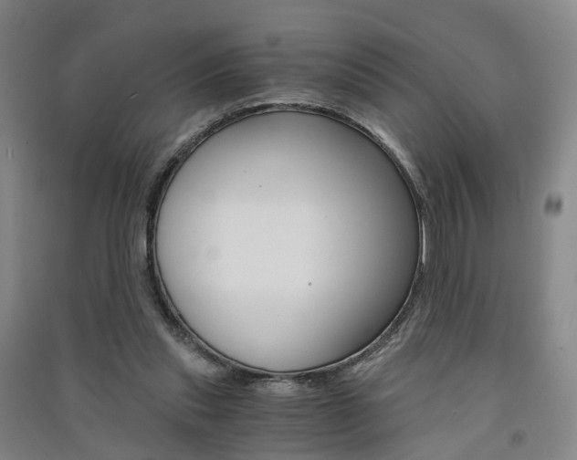 X0000091570253200708200957