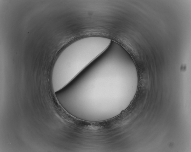 X0000091570255200708200957