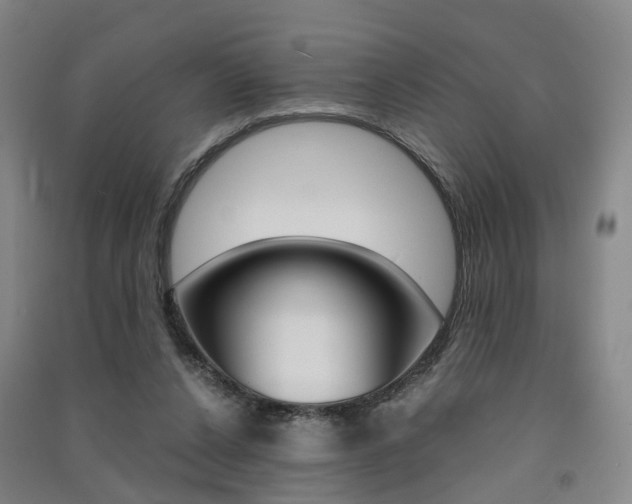 X0000091570256200708200957