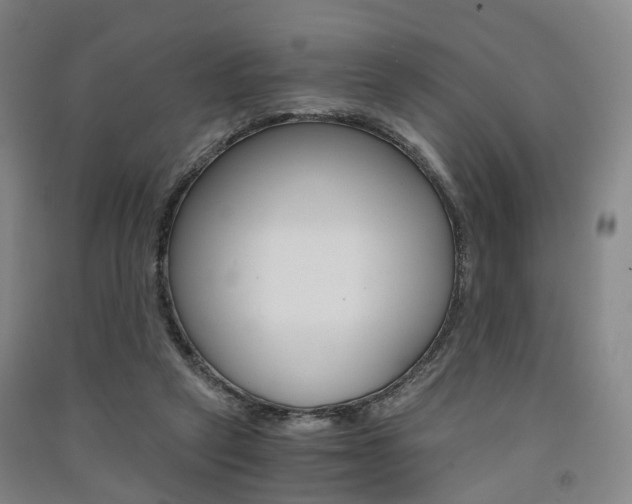 X0000091570257200708200957