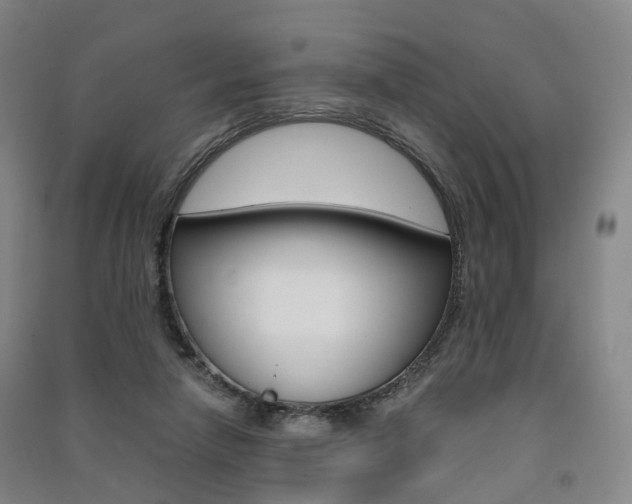 X0000091570258200708200957