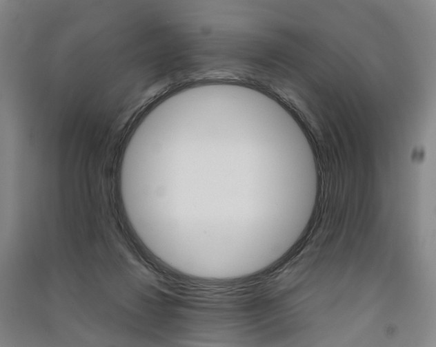 X0000091570260200708200957