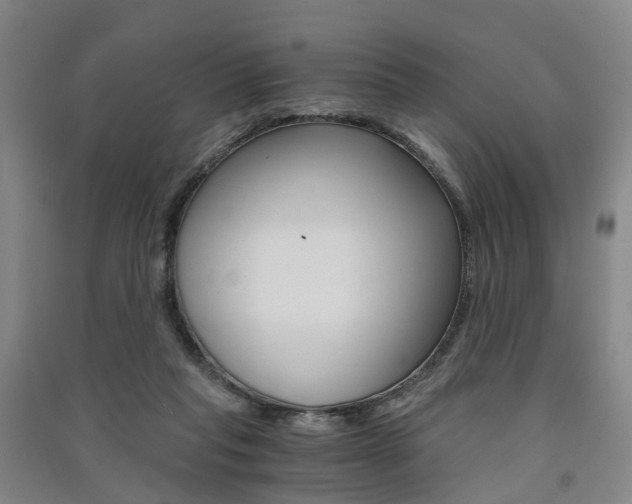 X0000091570261200708200957