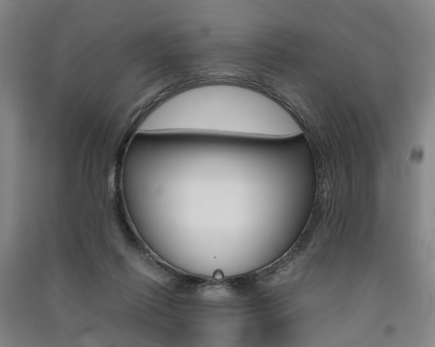 X0000091570262200708200957