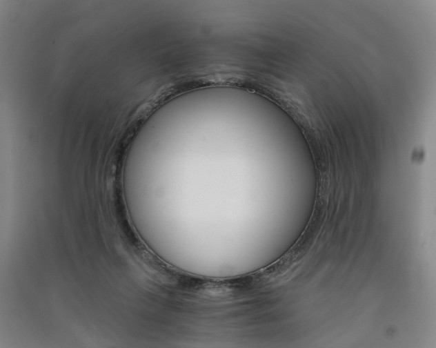X0000091570263200708200957