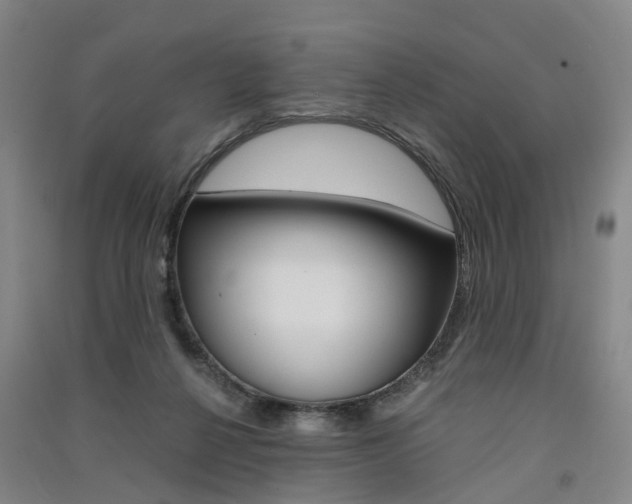 X0000091570264200708200957