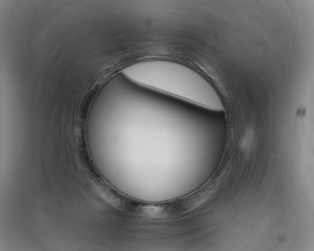 X0000091570265200708200957