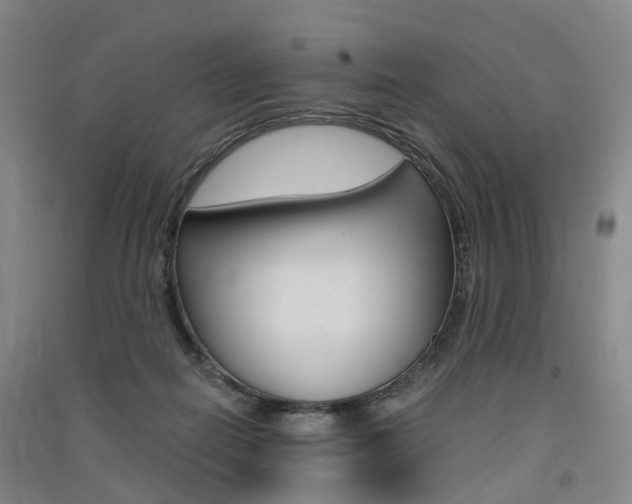 X0000091570266200708200957