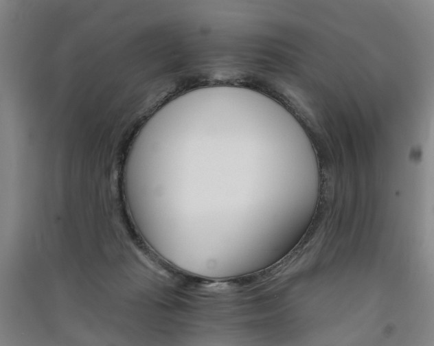 X0000091570269200708200957