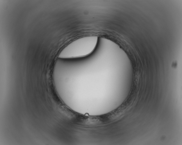 X0000091570270200708200957