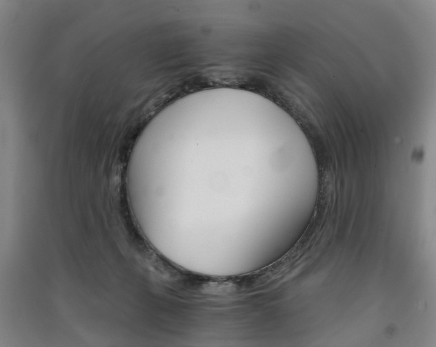 X0000091570271200708200957