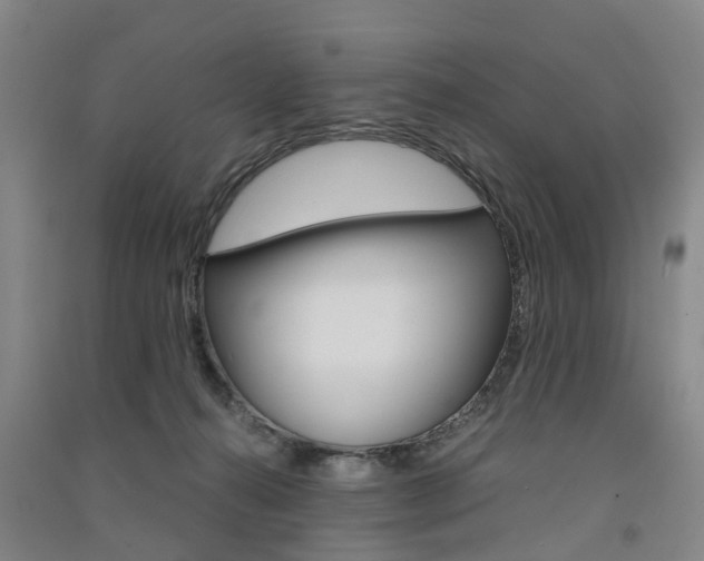 X0000091570272200708200957