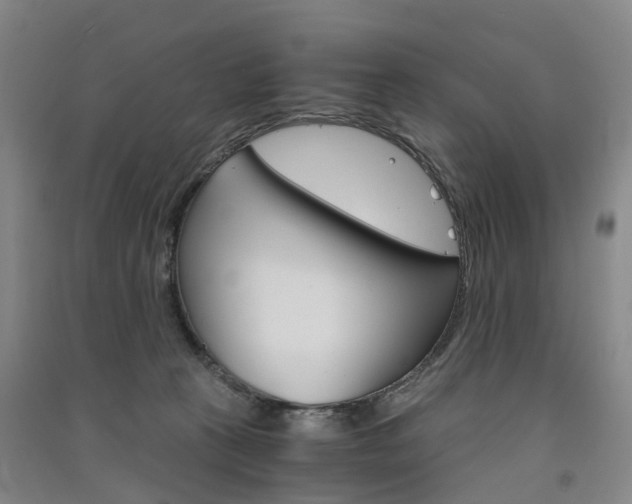 X0000091570273200708200957